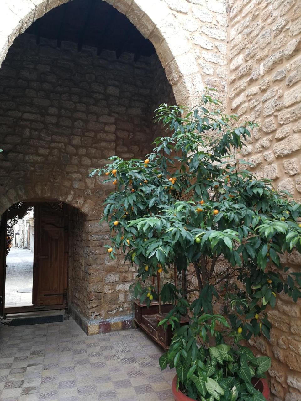 Dar Camelia Bed & Breakfast Tyre Bagian luar foto